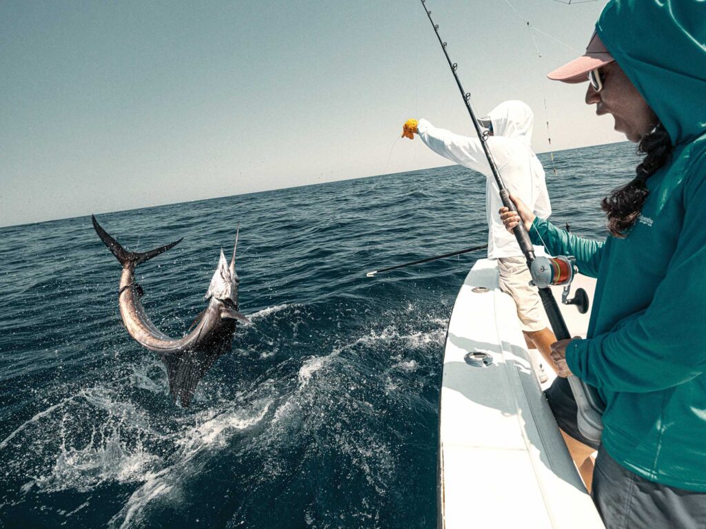 Sailfish leaping near the boat