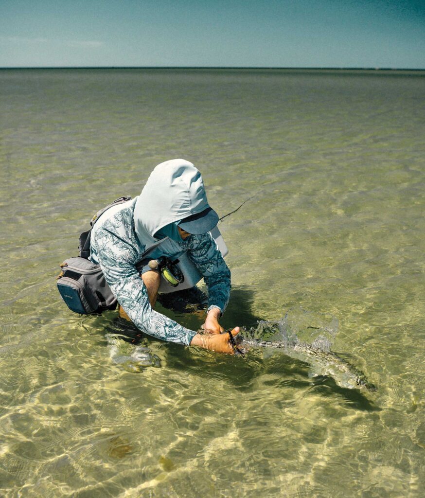 Striped bass on the flats