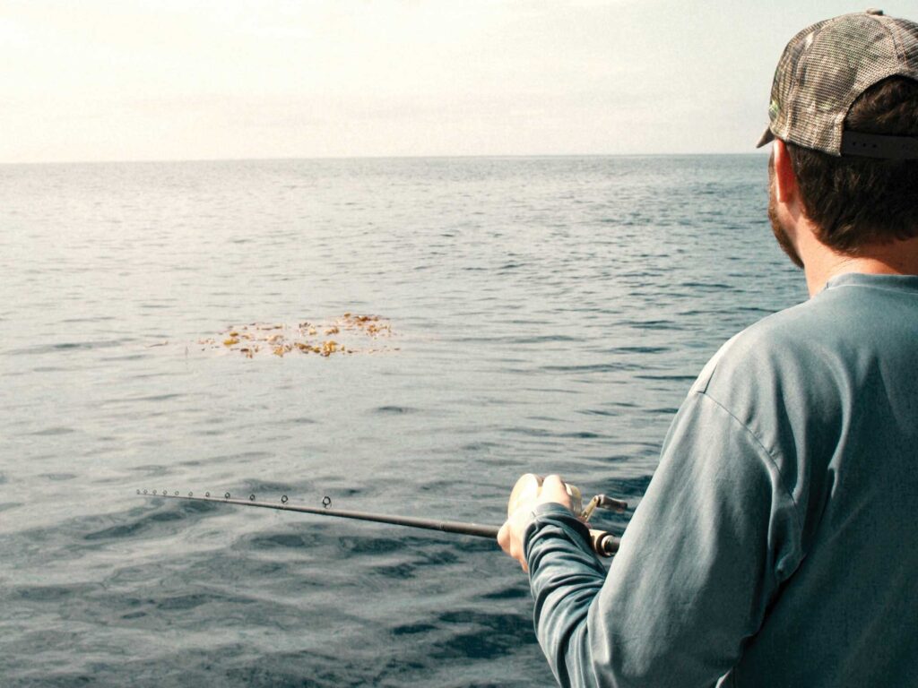 Fishing for mahi under kelp