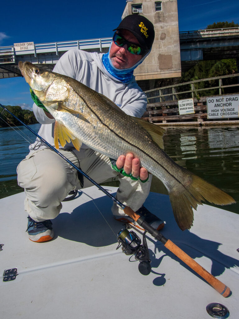 snook fishing near structure