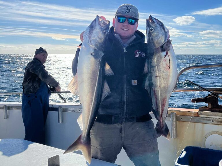 Two pollock caught in New England