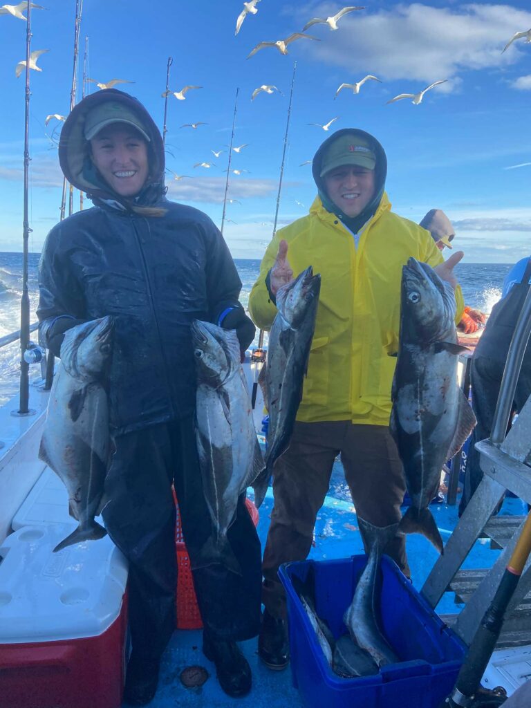 Multiple pollock on the fishing boat