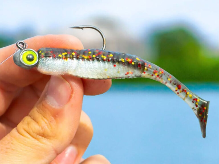 Soft plastics for fishing