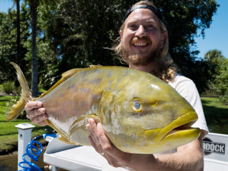 Fishmonger Reed Brand displays a yellow jack.