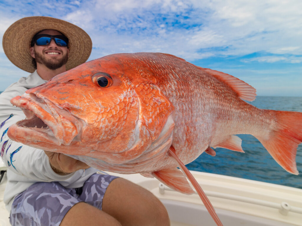 An angler holds a red snapper.