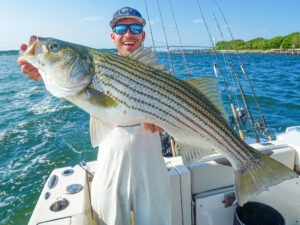 Striped bass on topwater lure