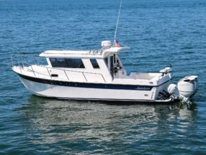 Sea Sport Commander 2800 fishing