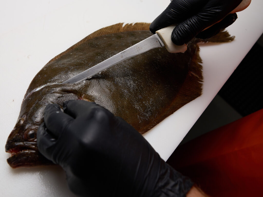 Filleting the dark side of a flounder