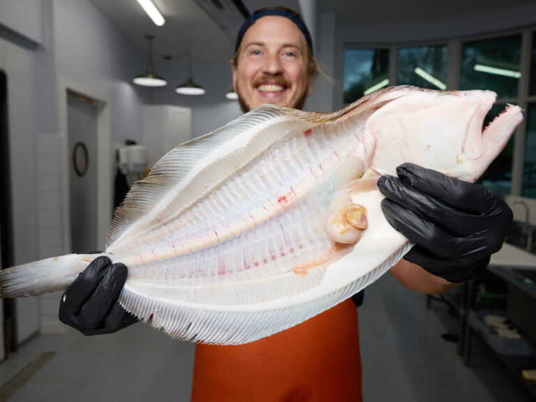 Fillet flounder.