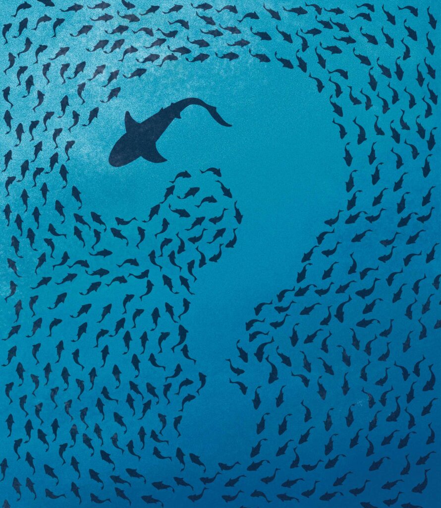 Shark swimming in a school of fish