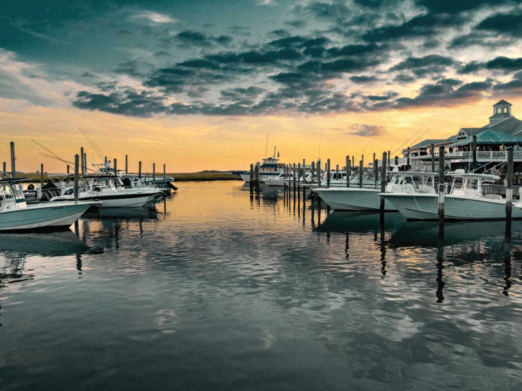 Boats in a marina