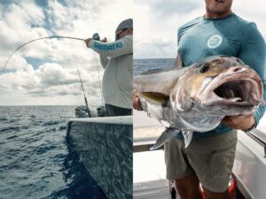 Fish caught using slow-pitch jigging