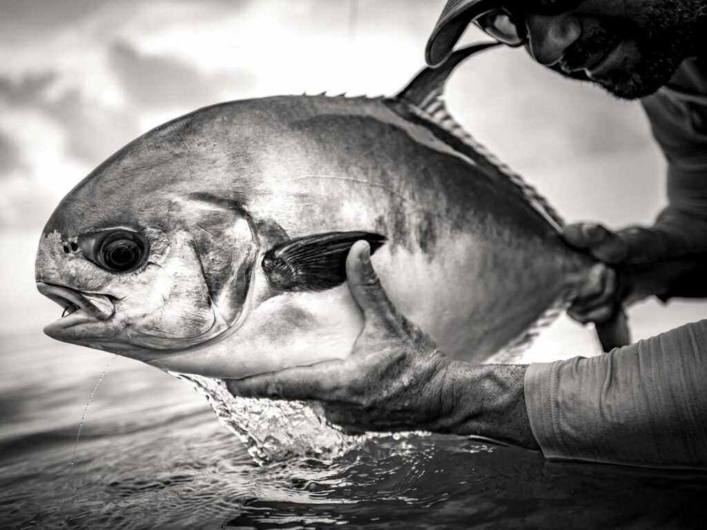 Permit caught off Key West