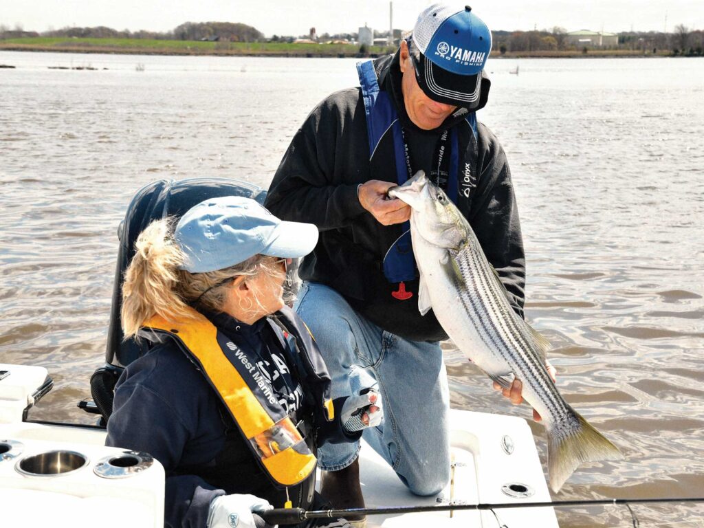 Catching striped bass in the river