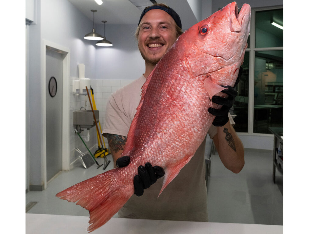 fillet red snapper