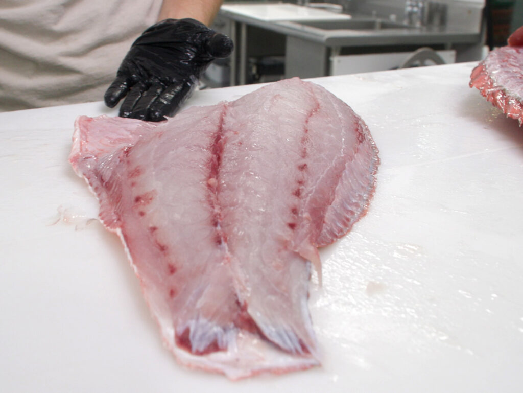 red snapper fillet.