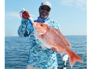 fillet red snapper