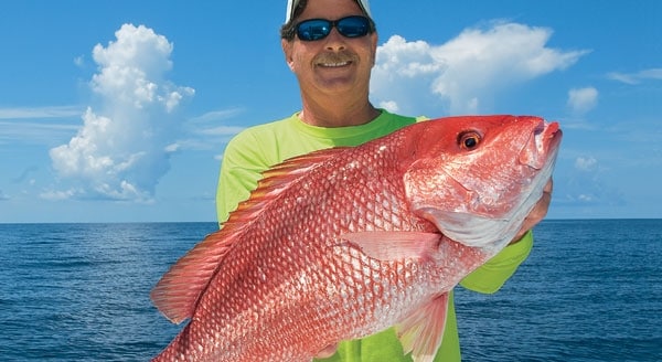 Red Snapper in the Gulf Show Signs of Stress