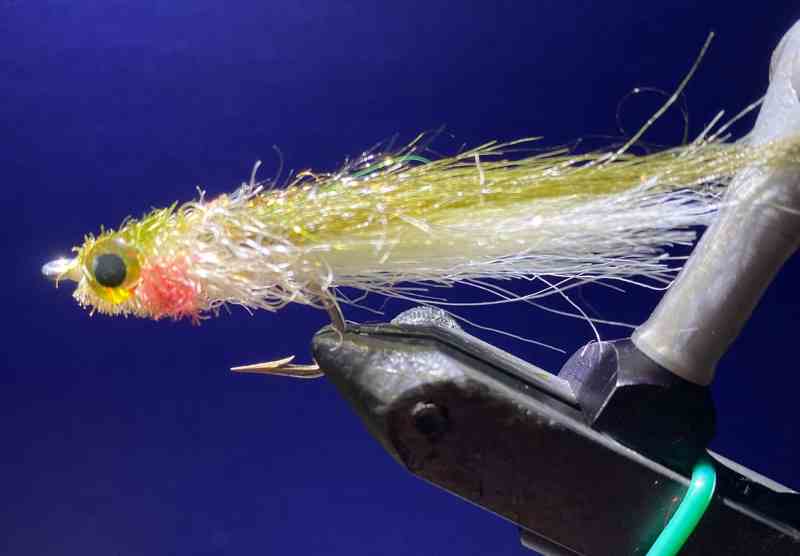 The Glades Minnow is hard to beat