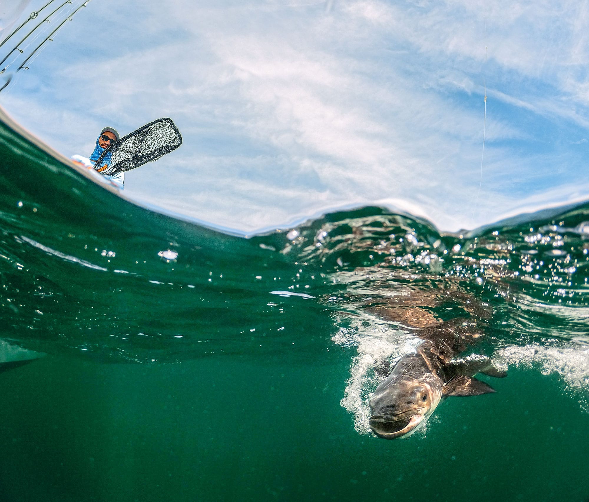 Simple Tips To Chum Up Mangrove Snapper To The Surface - Florida Sportsman