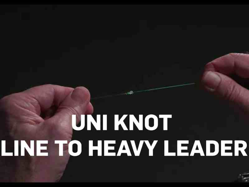 Learn how to tie the Uni-Knot to heavy leader
