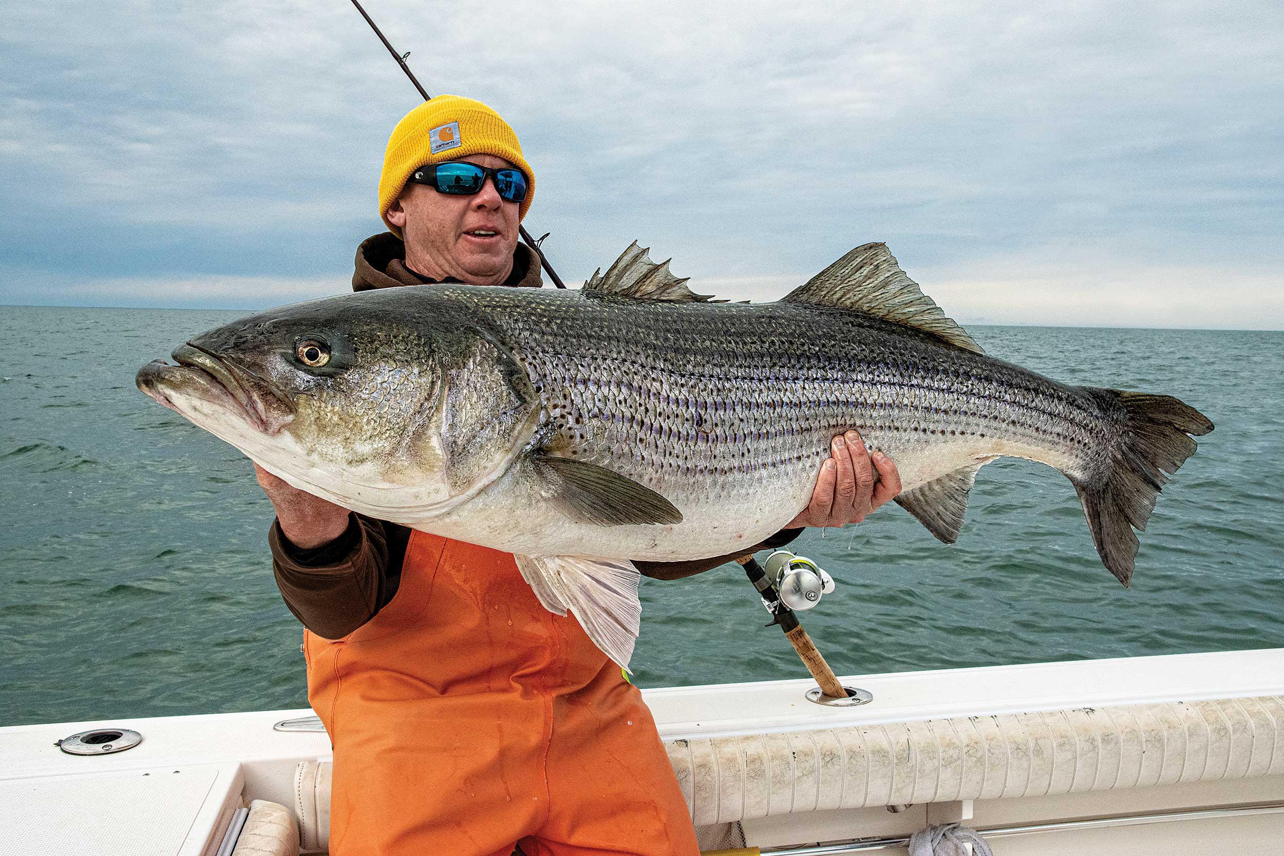 Striper Fishing Rigs And Knots