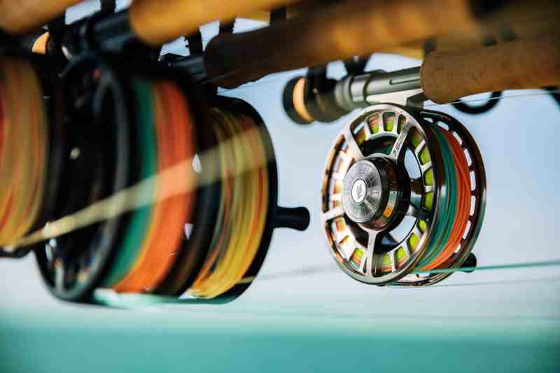 Collection of fly fishing reels
