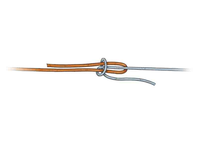 Albright Knot
