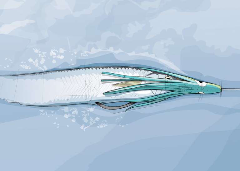 How to Rig Weedless Ballyhoo for Trolling