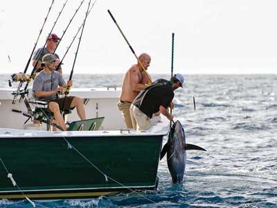 Learn About the Atlantic Bigeye – Fishing