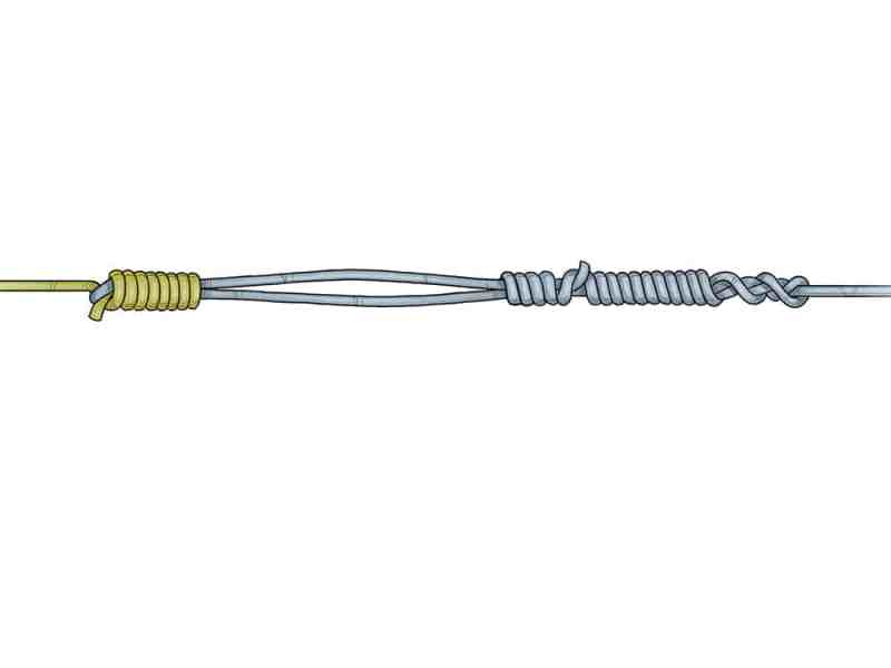 Bristol Knot