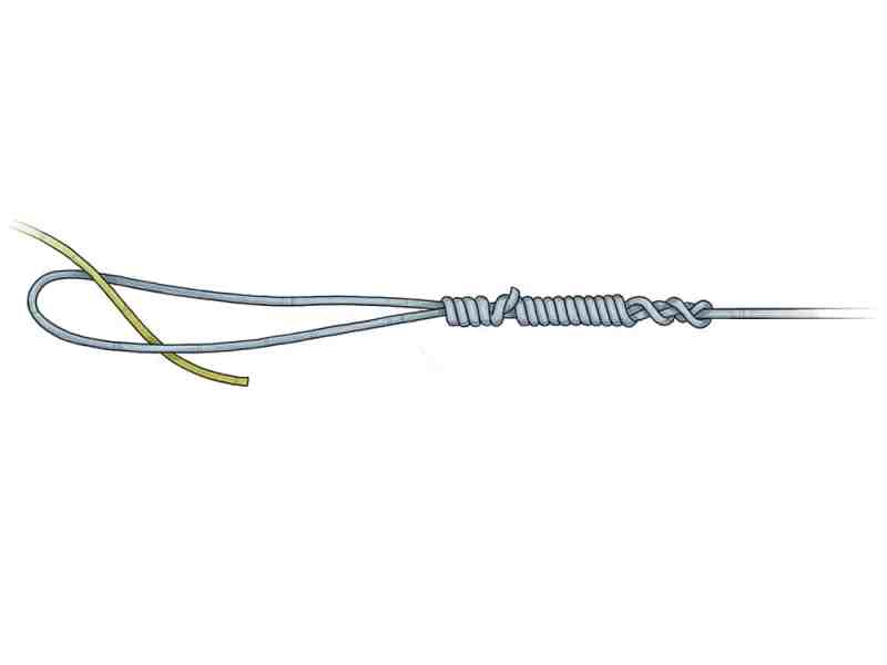 Bristol Knot