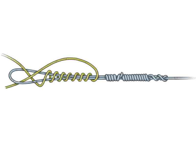 Bristol Knot