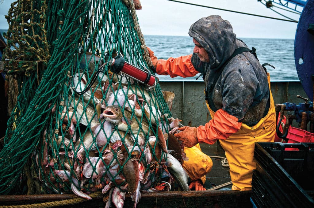 Fishing Conservation, Combat Waste in Global Fisheries | Salt Water ...