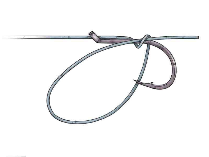 Snell Knot