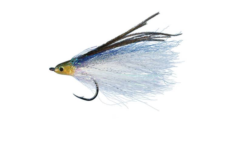 Need For Speed? Try Kingfish on Fly | Salt Water Sportsman