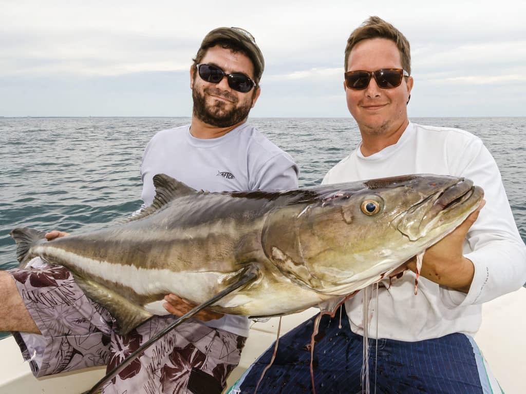 Barracuda Fishing Tips and Tactics