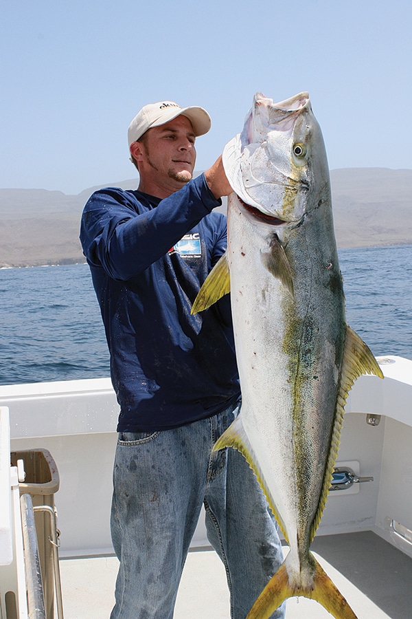 California Yellowtail Can t Resist a Heavy Metal Jig Salt Water