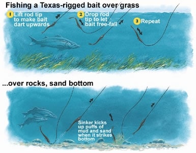 How to Work a Texas Rig  