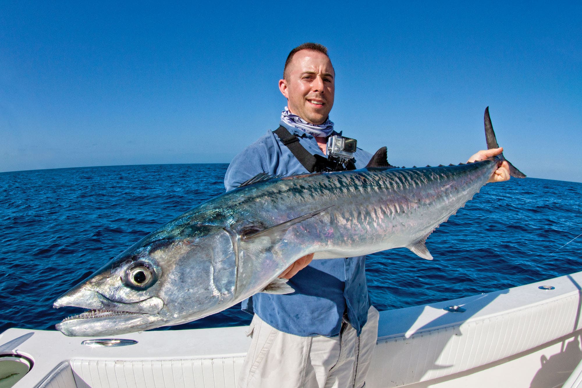 Destination Gulf Coast - Blue Wahoo's 