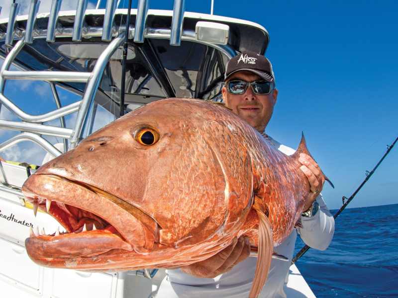 SWS0422-Snapper-1 Large cubera snapper
