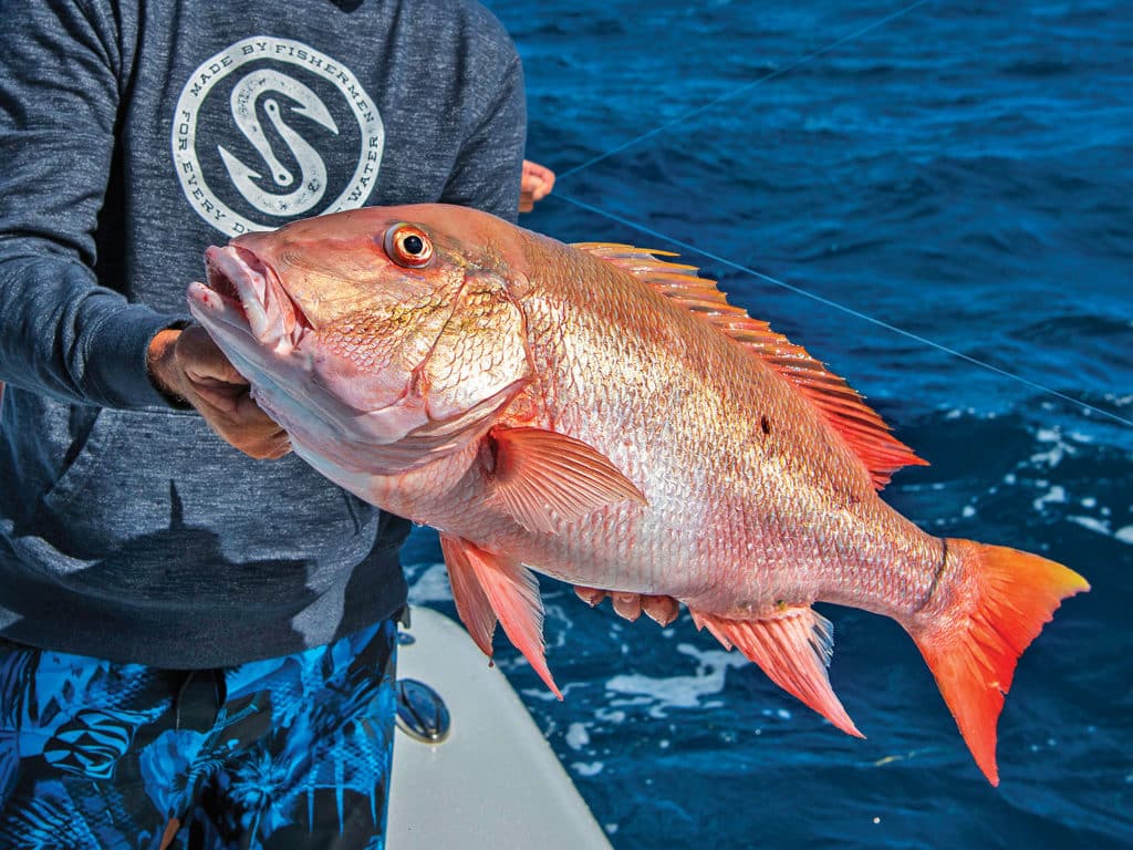 Simple Tips To Chum Up Mangrove Snapper To The Surface - Florida Sportsman