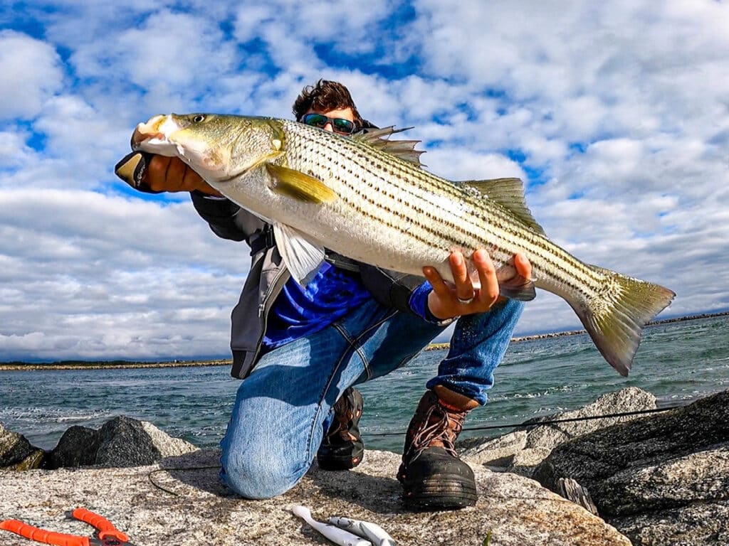 How To Fish For Striped Bass & Bluefish With Wire Line On Cape Cod