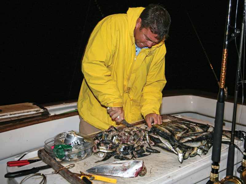 SWS1023-TT-Bait-1 Cutting up bait for chum