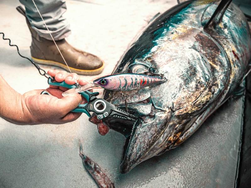 SWS524-Pliers-1 Danco pliers on a large tuna