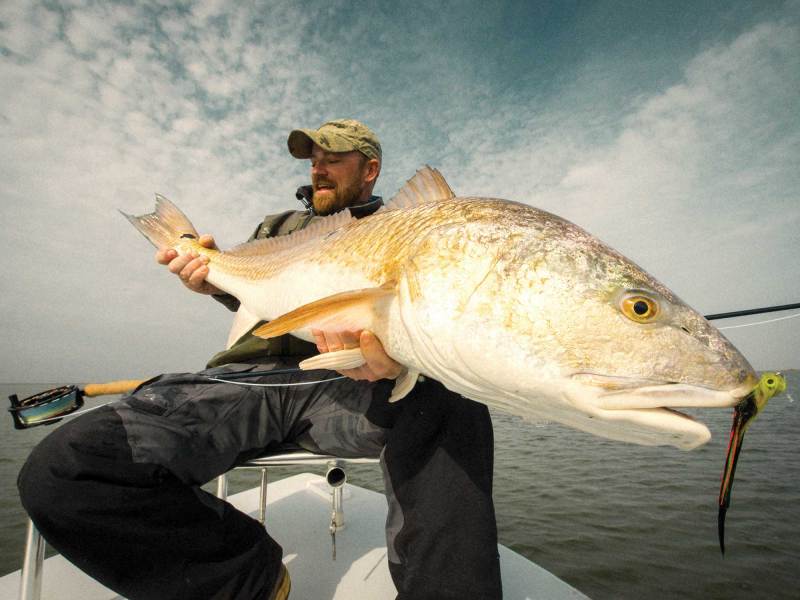 SWS724-Chandeleur-5 Large redfish caught in Louisiana
