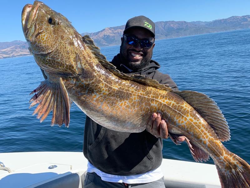 lingcod-southern-california California lingcod