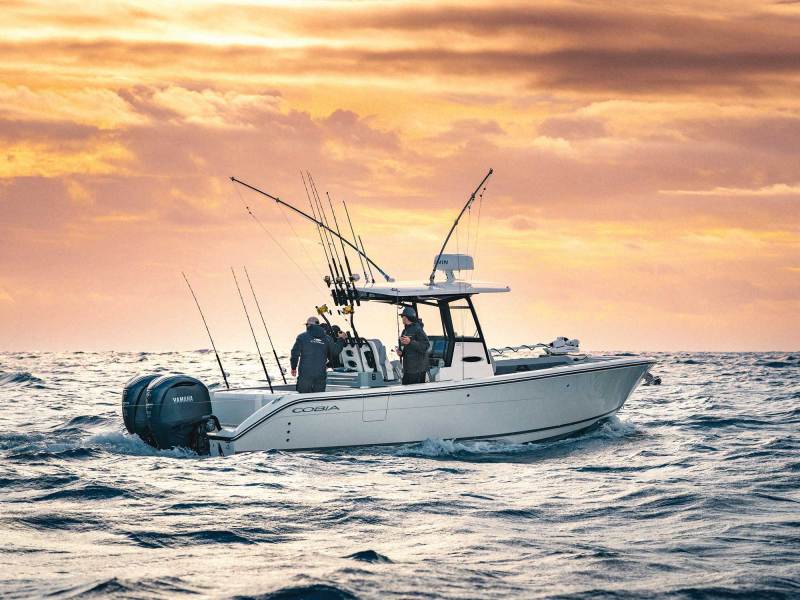 SWS425-Cobia-285-1 Cobia 286 Open out fishing
