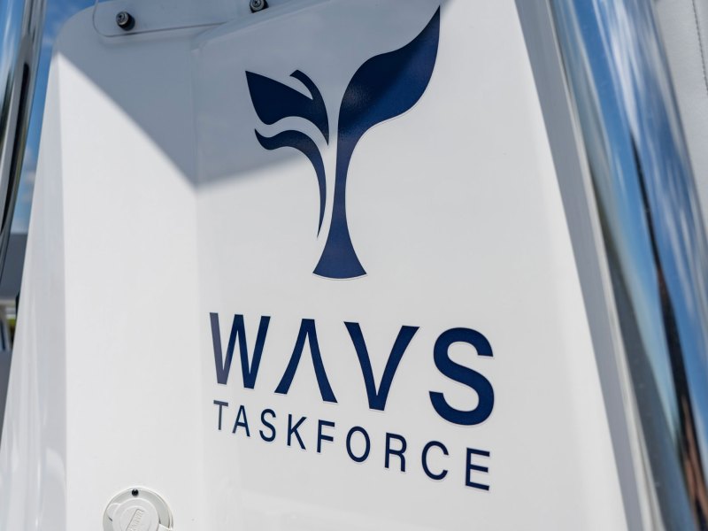 WAVS Taskforce logo on center console