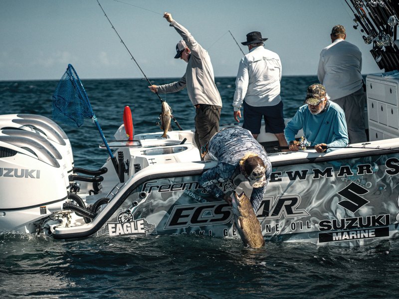 SWS825-Grouper-3 Angler reeling in a gag grouper